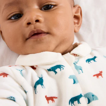 Baby boys' velvet forest animals sleep suit