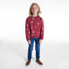 Boy's red printed sweatshirt