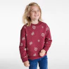 Boy's red printed sweatshirt