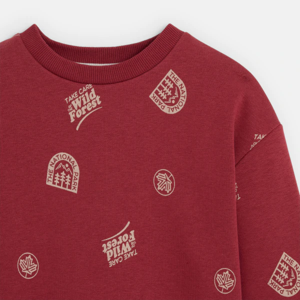 Boy's red printed sweatshirt