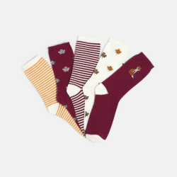 Chaussettes fantaisie (lot...