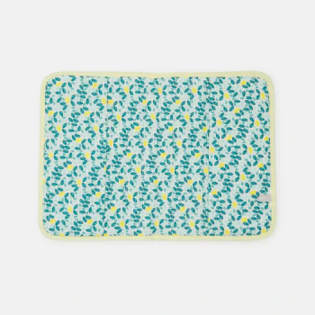 Newborn yellow lemon print health book cover