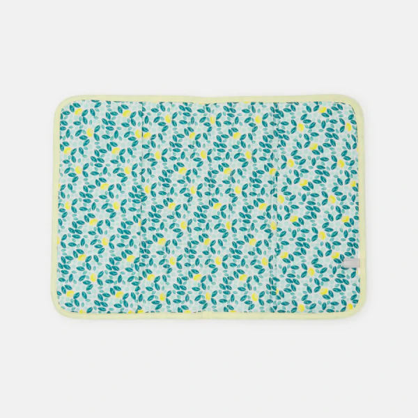 Newborn yellow lemon print health book cover