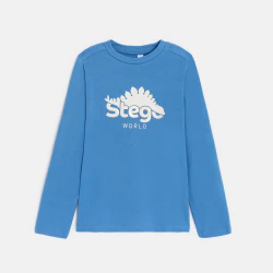 Boy's blue dinosaur motif...