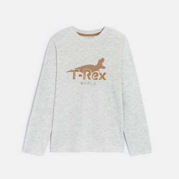 Boy's grey dinosaur motif T-shirt with long sleeves