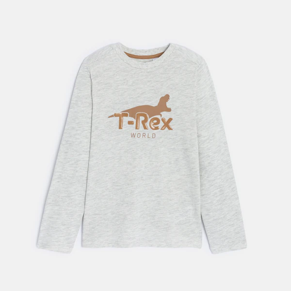 Boy's grey dinosaur motif T-shirt with long sleeves