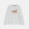 Boy's grey dinosaur motif T-shirt with long sleeves