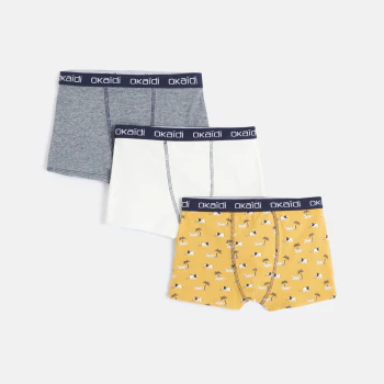 Boy's boxers (set of 3)