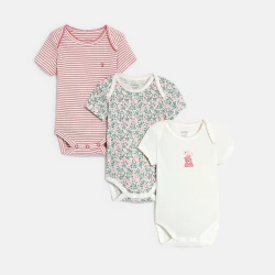 Baby girl's short sleeve bodysuit (pack of 3)