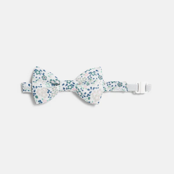 Boy's blue bowtie