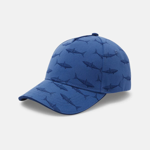 Boy's blue printed cap