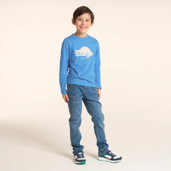 Boy's blue dinosaur motif T-shirt with long sleeves