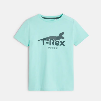 Boy's blue dinosaur motif T-shirt