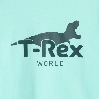 Boy's blue dinosaur motif T-shirt