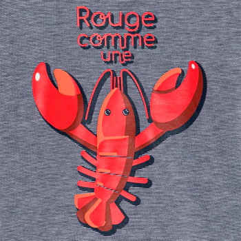 Baby boy's grey crayfish T-shirt