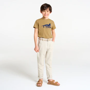 Boy's dark beige dinosaur motif T-shirt