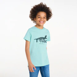 Boy's blue dinosaur motif T-shirt