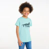 Boy's blue dinosaur motif T-shirt