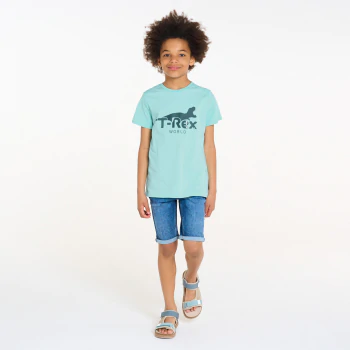 Boy's blue dinosaur motif T-shirt