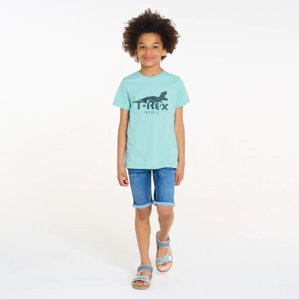 Boy's blue dinosaur motif T-shirt